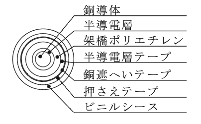 選択肢ニ