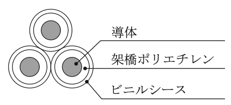 選択肢ニ