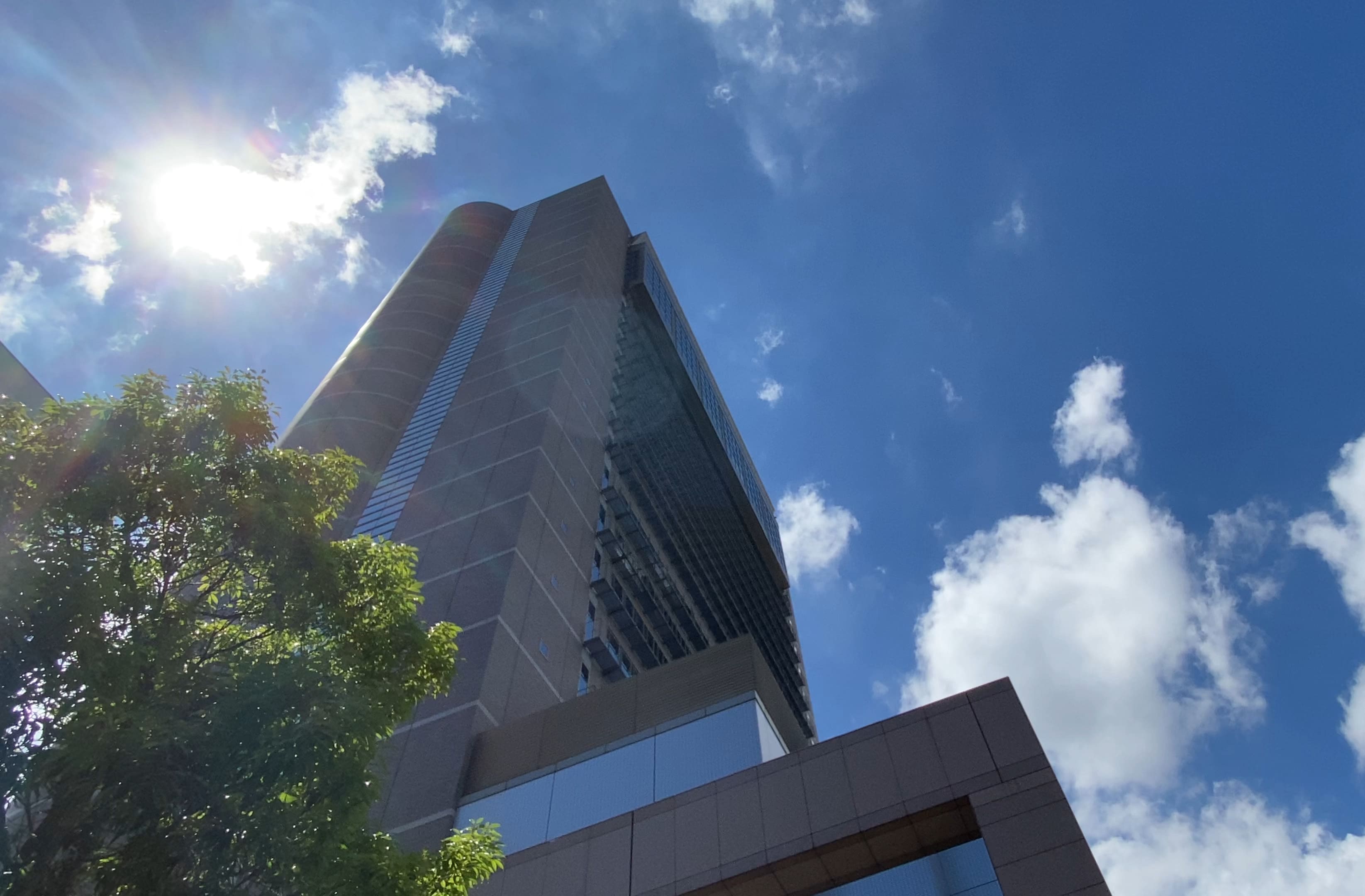 求人詳細の画像