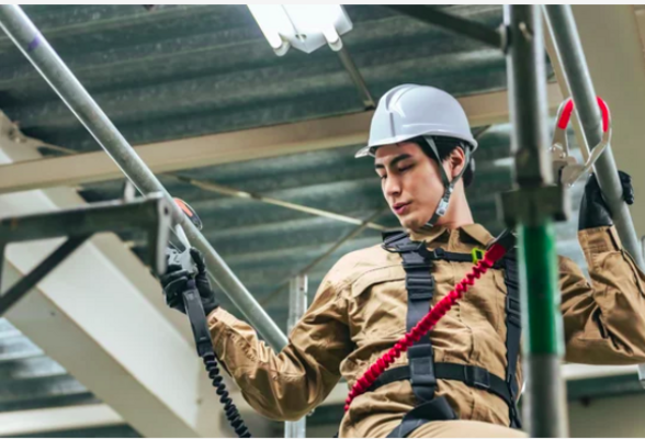 求人詳細の画像