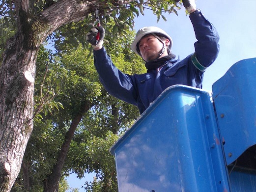 求人詳細の画像