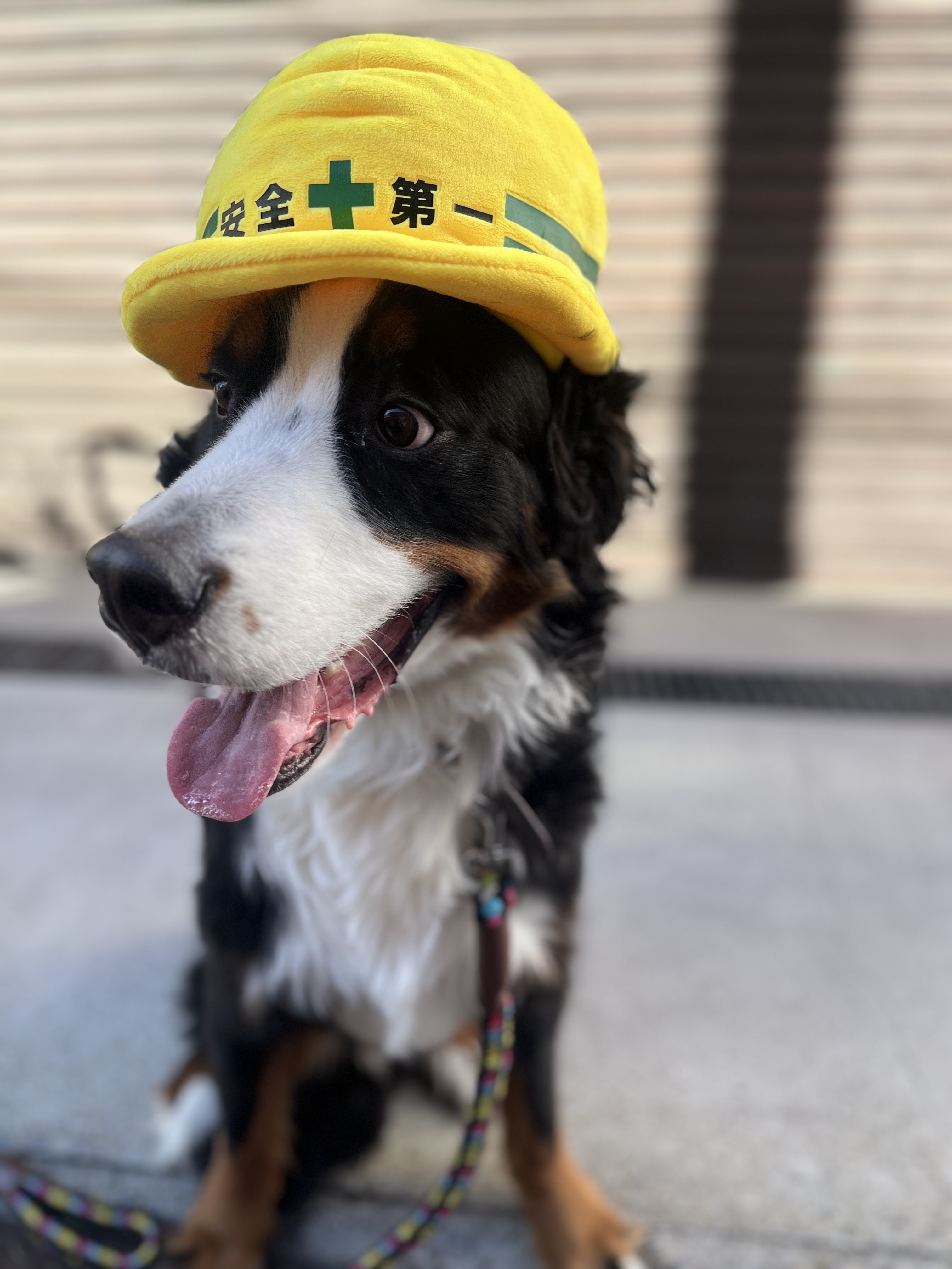 求人詳細の画像