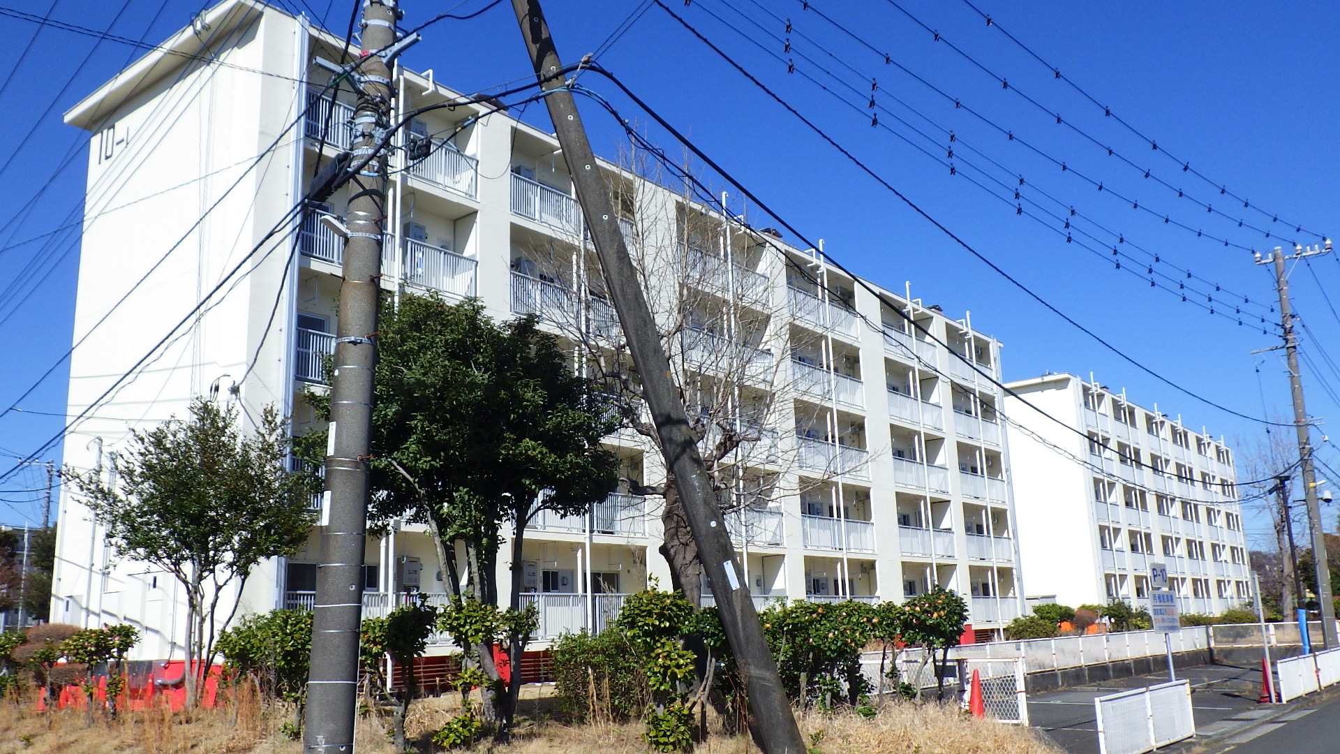 求人詳細の画像