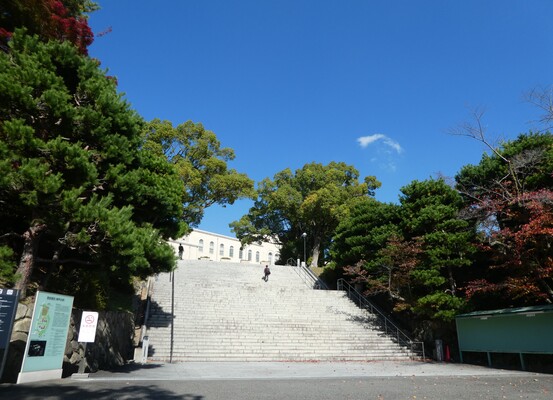 求人詳細の画像